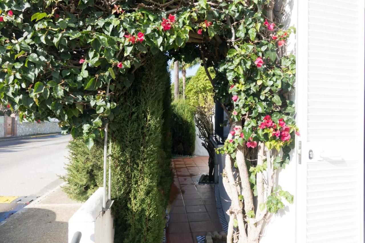 Apartamento Alextia La Barrosa Chiclana de la Frontera Dış mekan fotoğraf