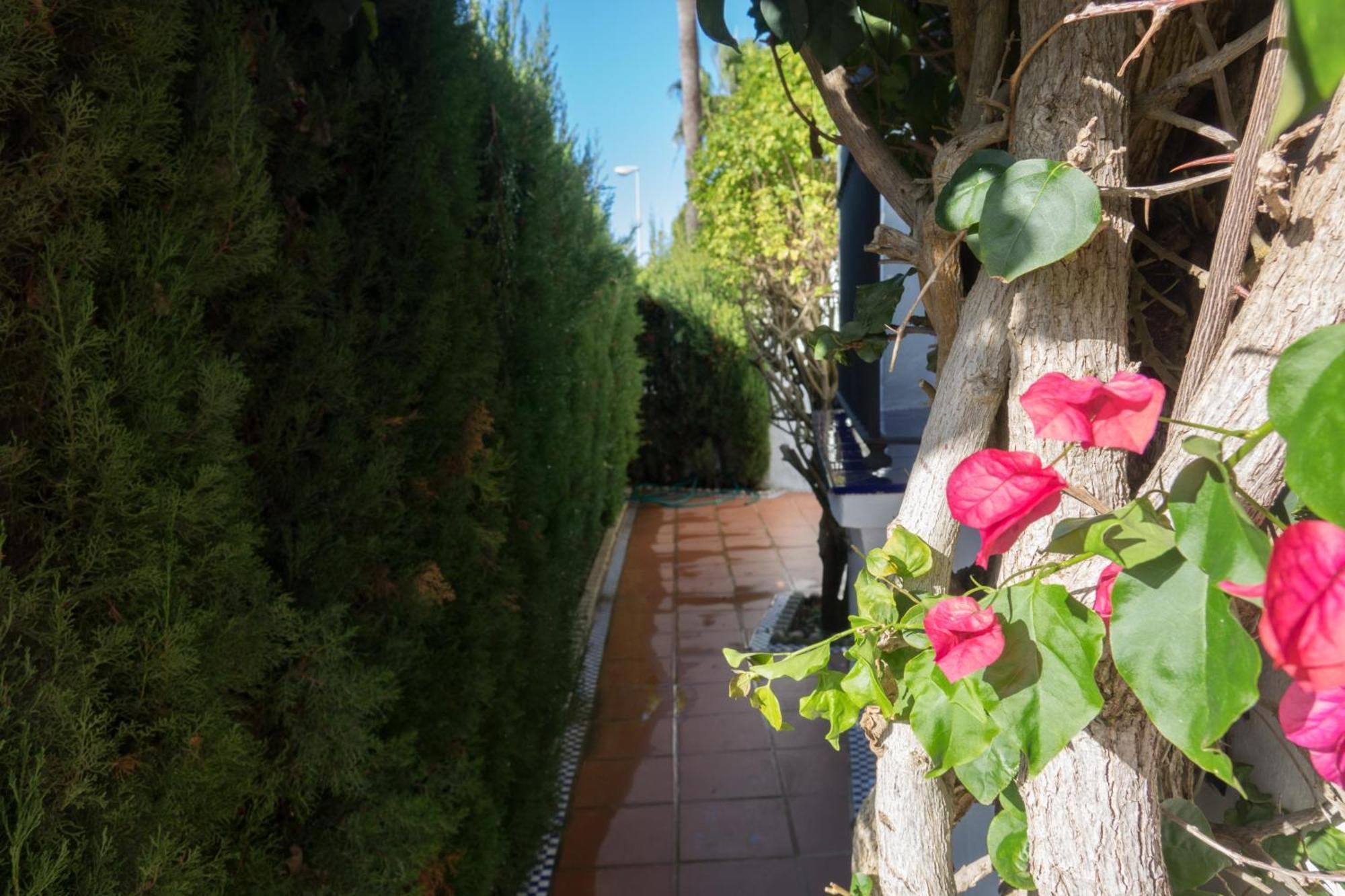 Apartamento Alextia La Barrosa Chiclana de la Frontera Dış mekan fotoğraf